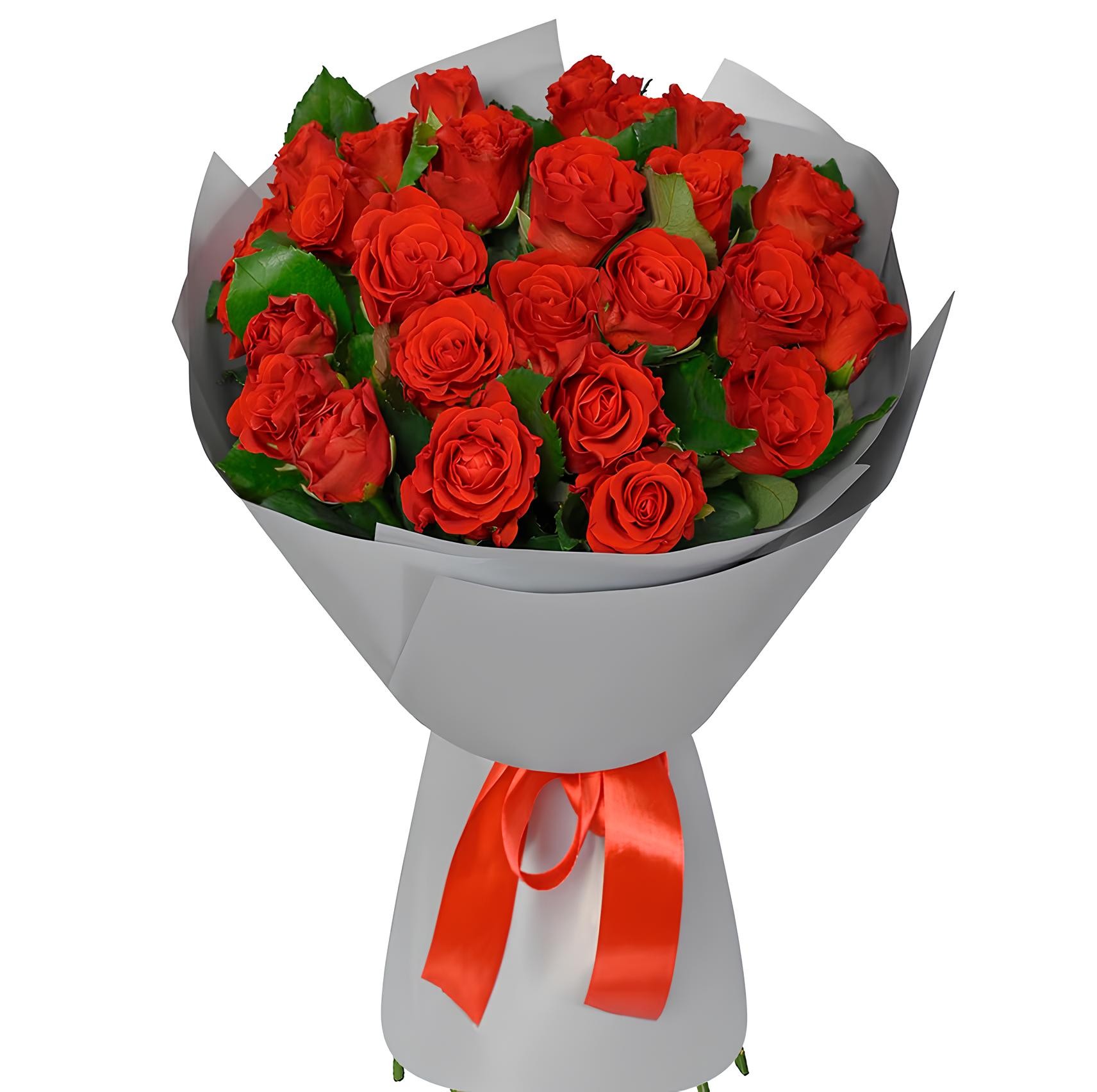 Gül Bakımı Nasıl Yapılır?